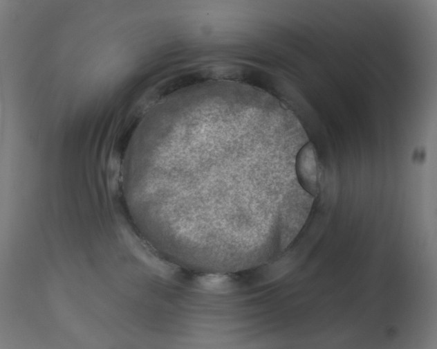 X0000112760189200909171258