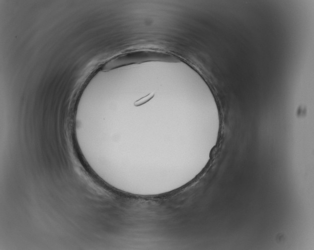 X0000112760193200909171257