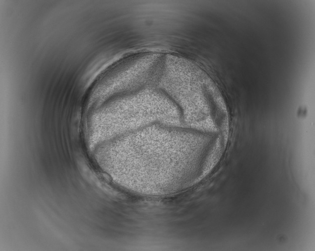 X0000112760194200909171257