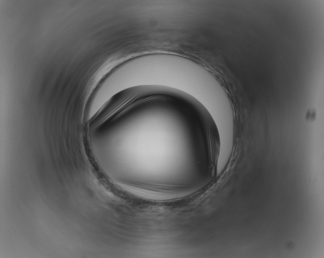 X0000112760195200909171257