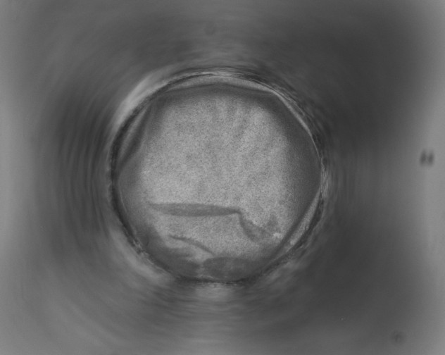 X0000112760198200909171257