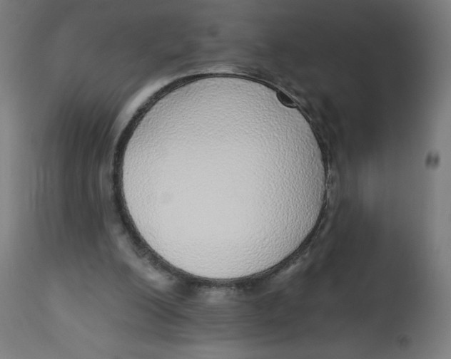 X0000112760200200909171257