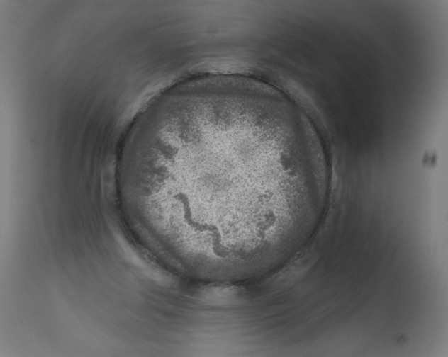 X0000112760202200909171257