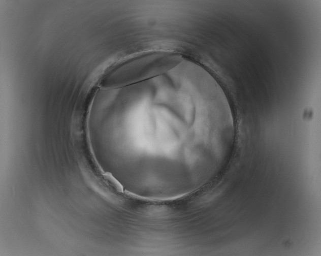 X0000112760203200909171257