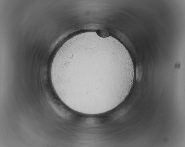 X0000112760204200909171257
