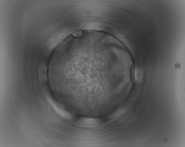 X0000112760205200909171257