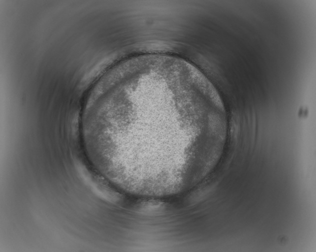 X0000112760206200909171257