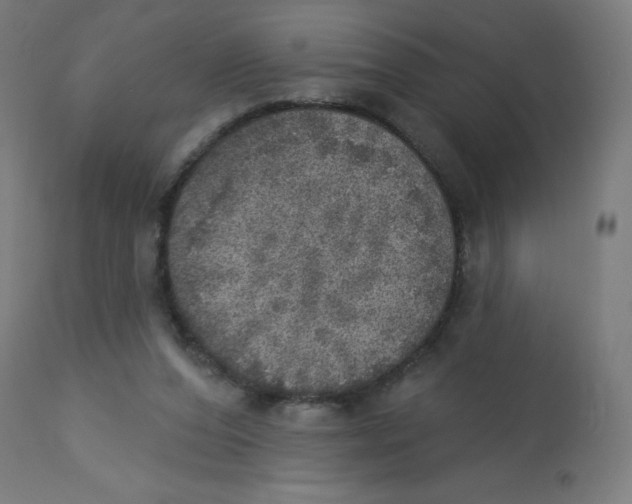 X0000112760208200909171257