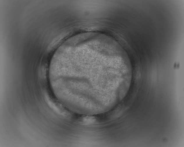 X0000112760214200909171257