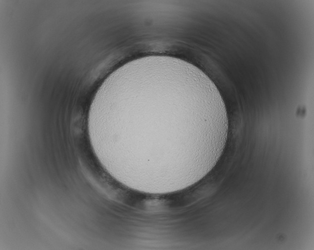 X0000112760216200909171257
