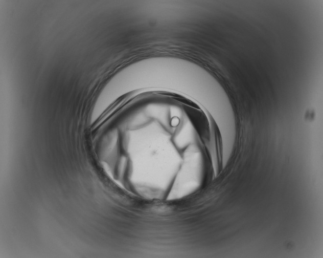 X0000112760217200909171257