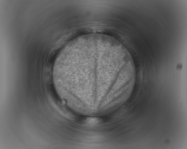 X0000112760218200909171257
