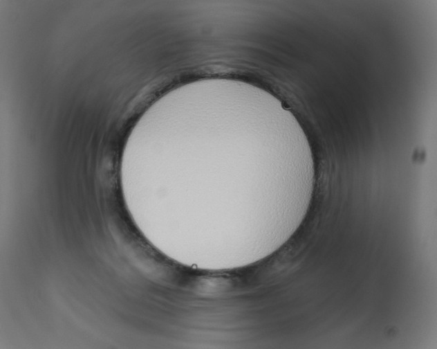 X0000112760220200909171257
