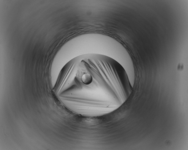 X0000112760221200909171257
