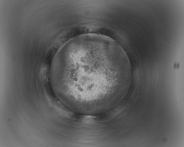 X0000112760222200909171257