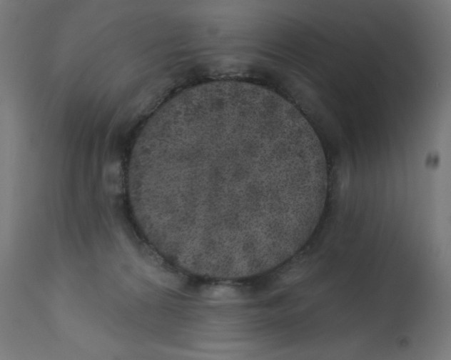 X0000112760224200909171257