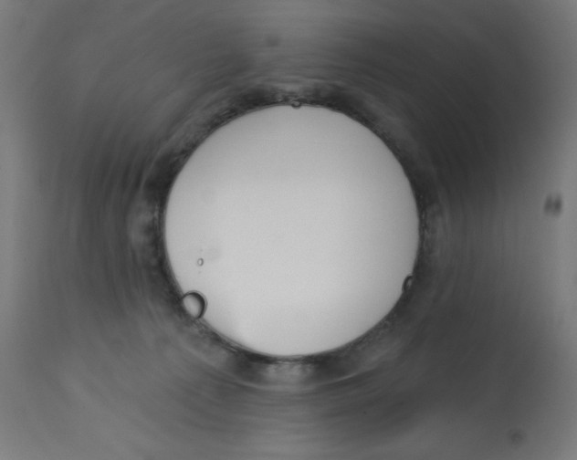 X0000112760225200909171257