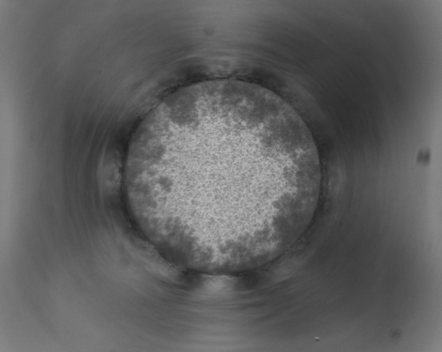 X0000112760226200909171257