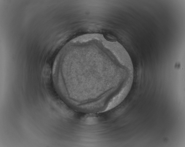 X0000112760228200909171257