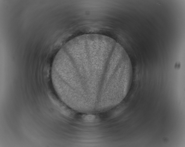 X0000112760230200909171257