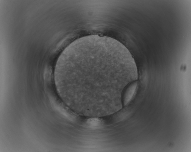 X0000112760231200909171257