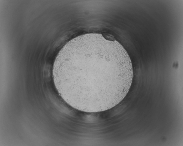 X0000112760232200909171257