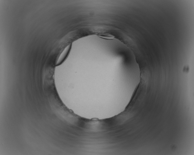X0000112760237200909171257