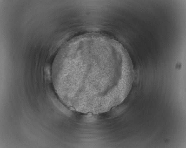 X0000112760238200909171257