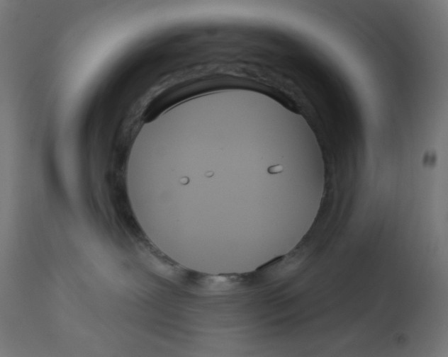 X0000112760239200909171257