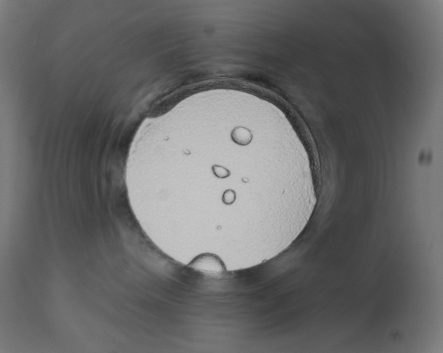 X0000112760240200909171257