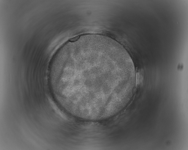 X0000112760243200909171256