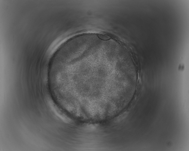 X0000112760247200909171256