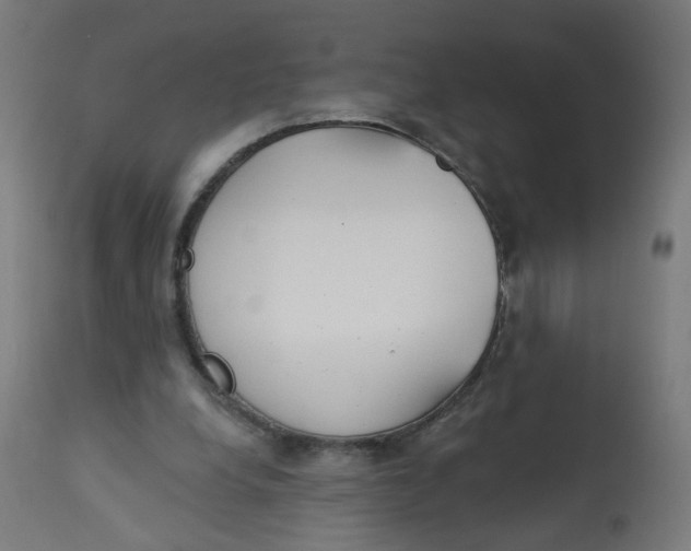 X0000112760248200909171256