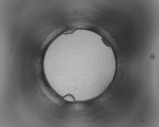 X0000112760250200909171256