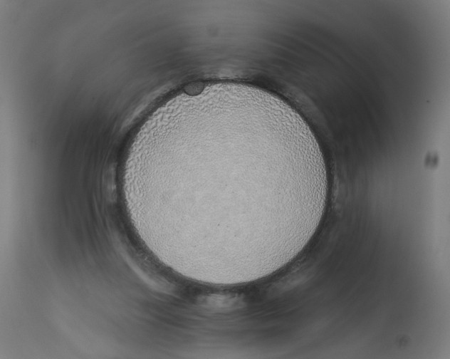 X0000112760251200909171256