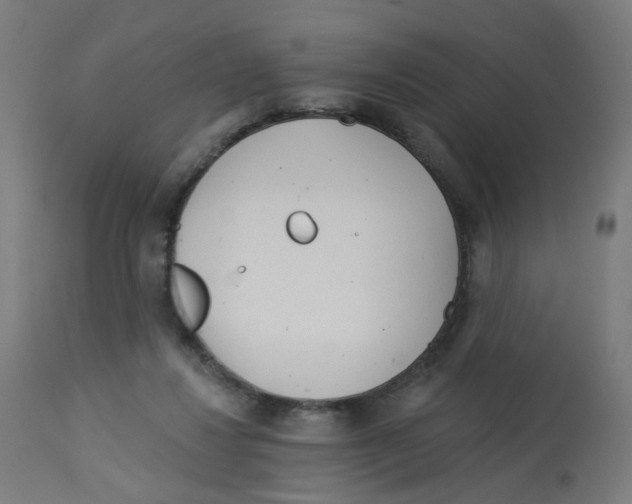 X0000112760260200909171256