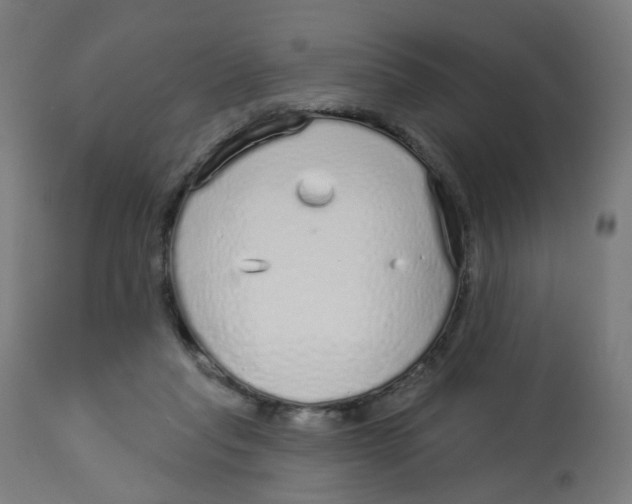 X0000112760261200909171256