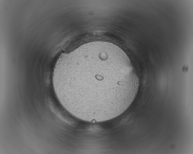 X0000112760262200909171256