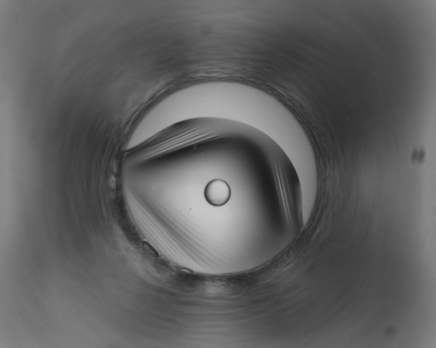 X0000112760264200909171256