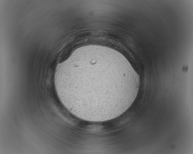 X0000112760266200909171256