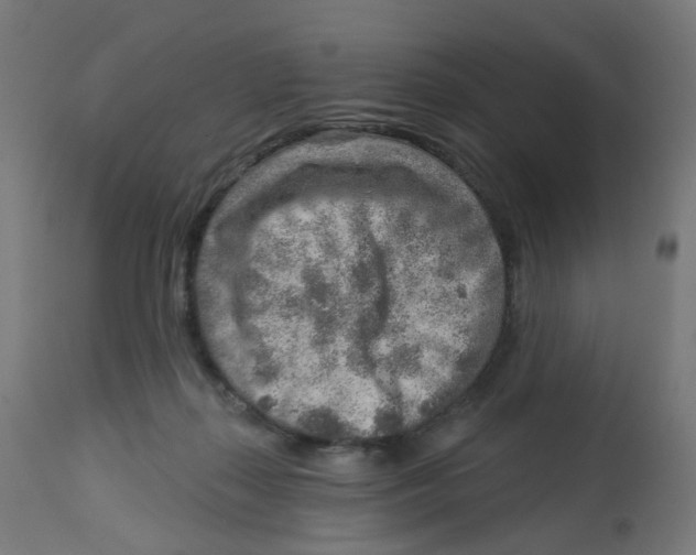 X0000112760267200909171256