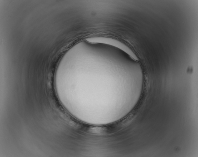 X0000112760269200909171256
