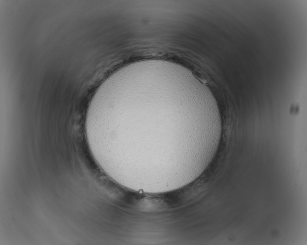 X0000112760270200909171256