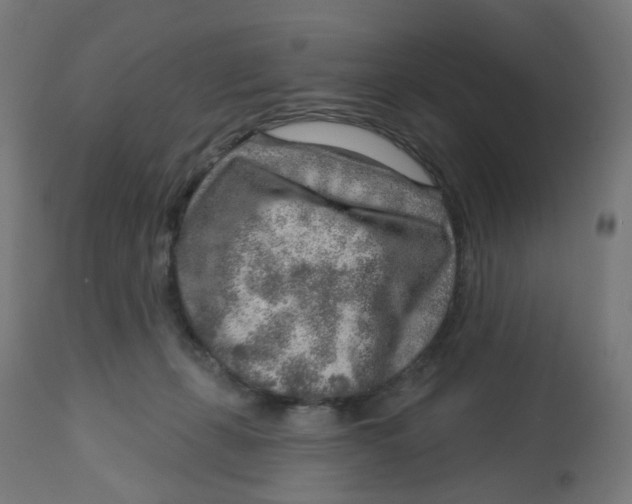 X0000112760271200909171256