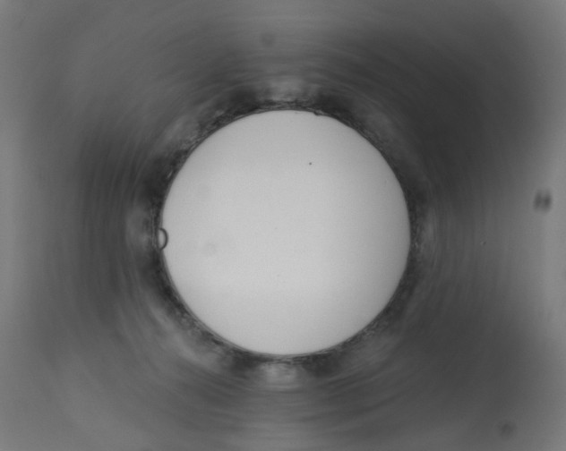 X0000112760272200909171256