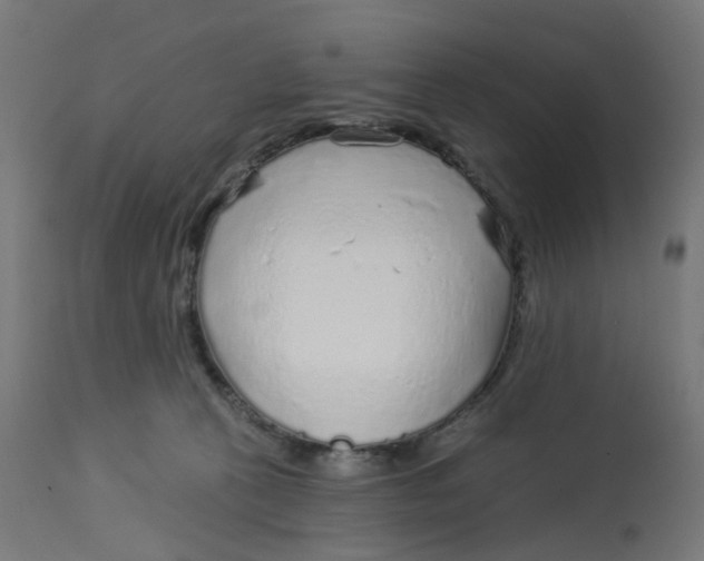 X0000112760273200909171256