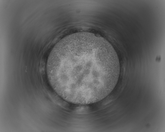 X0000112760274200909171256