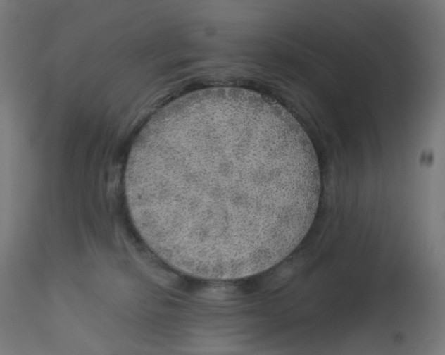 X0000112760278200909171256