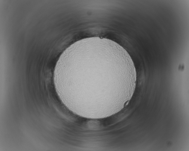 X0000112760279200909171256