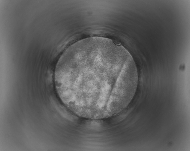 X0000112760282200909171256